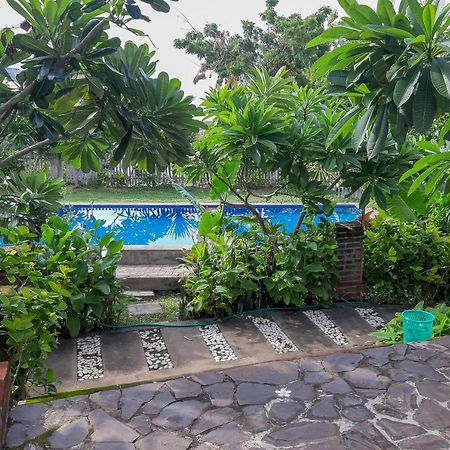 Oyo 3070 Villa Lovina Eco Lodge Eksteriør billede