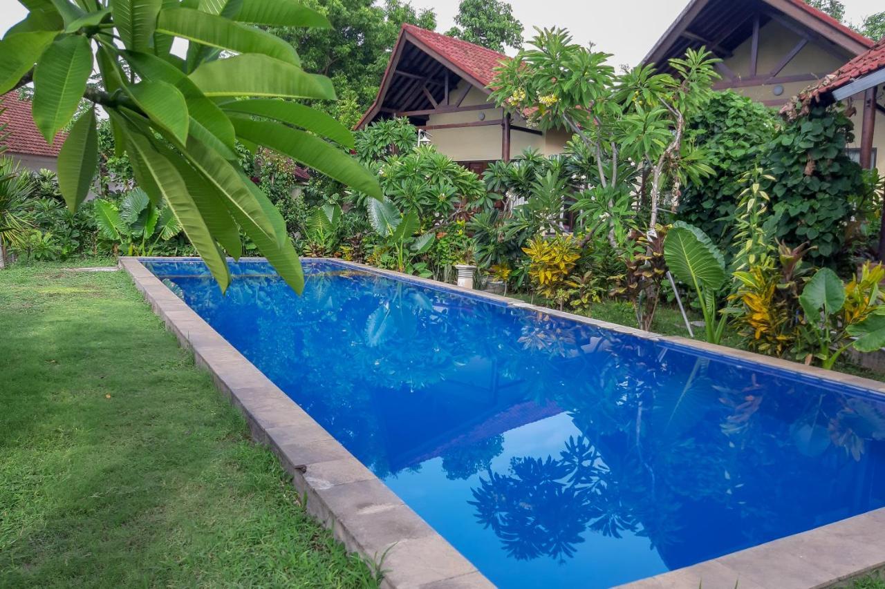 Oyo 3070 Villa Lovina Eco Lodge Eksteriør billede
